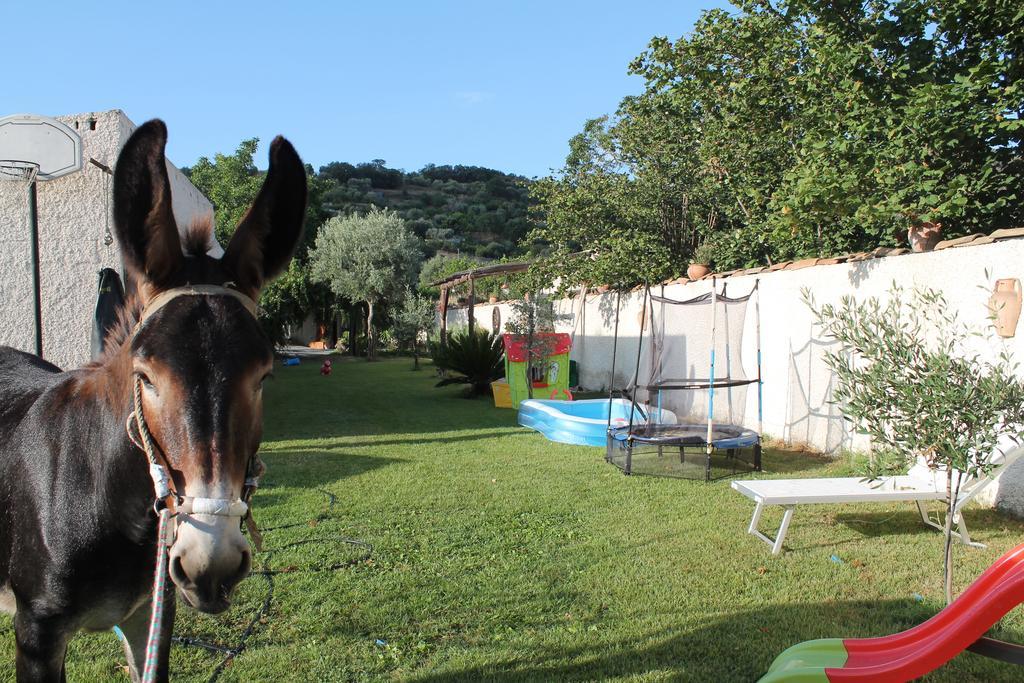 Casa Vacanze Borgo Borghese ซานตาเลสโซ ซิกูโล ภายนอก รูปภาพ